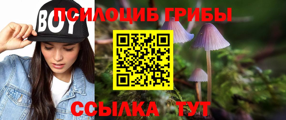 Барнаул  Галлюциногенные грибы прущие грибы  Вход с VPN  Галлюциногенные грибы MAGIC MUSHROOMS 