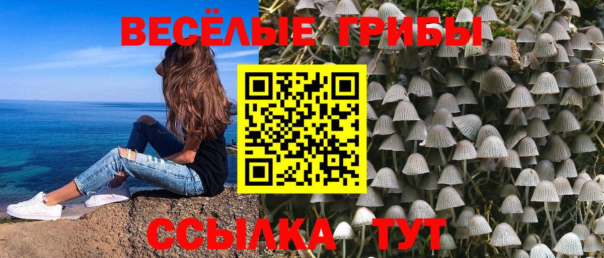 Псилоцибиновые грибы мицелий Барнаул